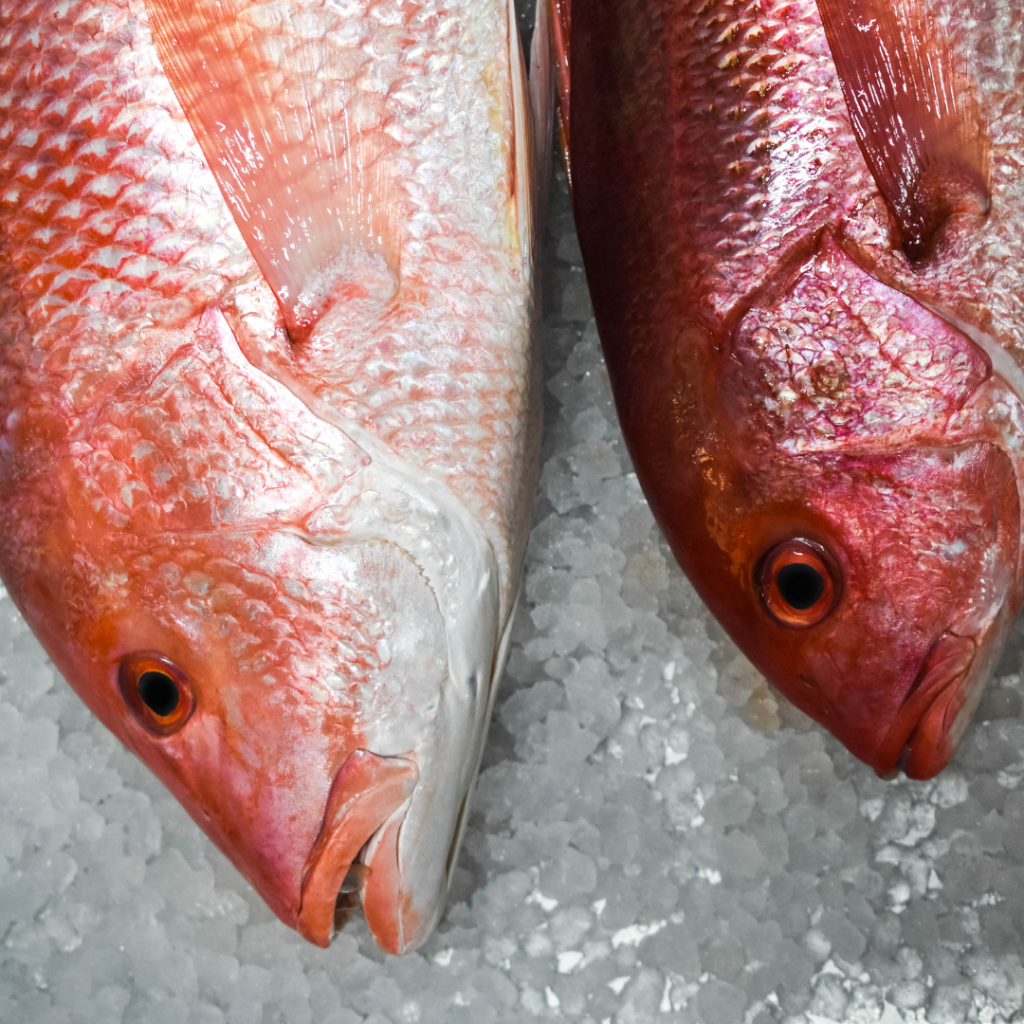 ALT pescado huachinango